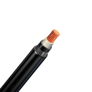 X1AV Cable