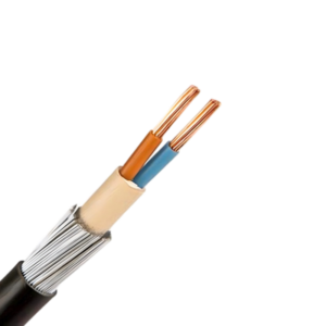 25mm 2 Core Steel Wire Armoured SWA Cable