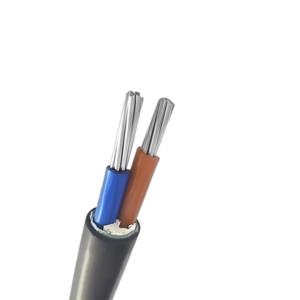 XLPE Insulated 50mm2 2 Cores Aluminum Cable 2x50mm2